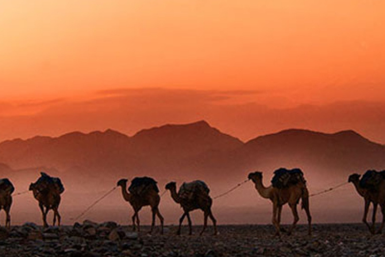 Marrakech: cena nel deserto di Agafay con musica e spettacolo di fuoco