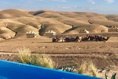 Marrakech: jantar no deserto de Agafay com música e show de fogo