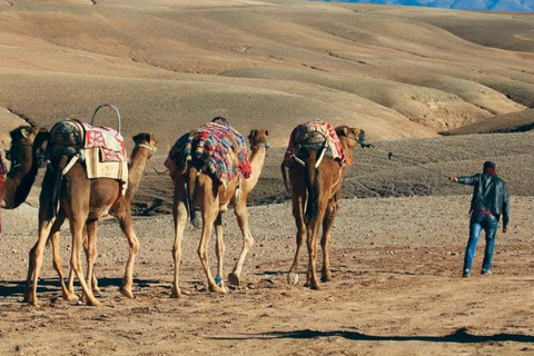 Marrakech: jantar no deserto de Agafay com música e show de fogo