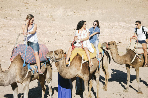 Marrakech: cena nel deserto di Agafay con musica e spettacolo di fuoco