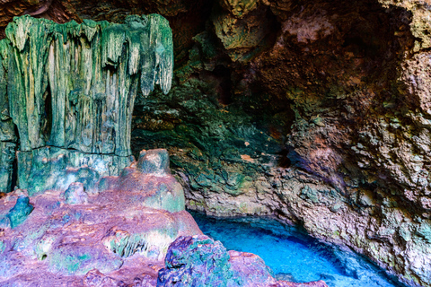 Zanzibar: Secret Beach, Kuza Cave e Jozani com trasladoPraia secreta, caverna Kuza e floresta Jozani com traslado