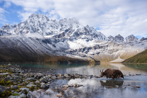 Kathmandu: 11-Day Gokyo Lake Trek