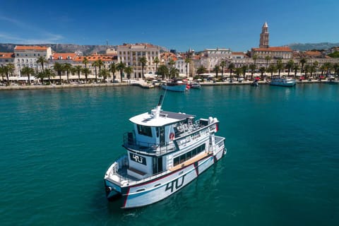 Split: Blue cave & 5 Islands Catamaran Speedboat Cruise