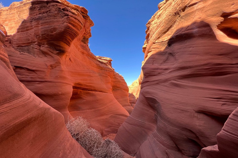 Antelope Canyon : Excursion dans le canyon de Rattlesnake