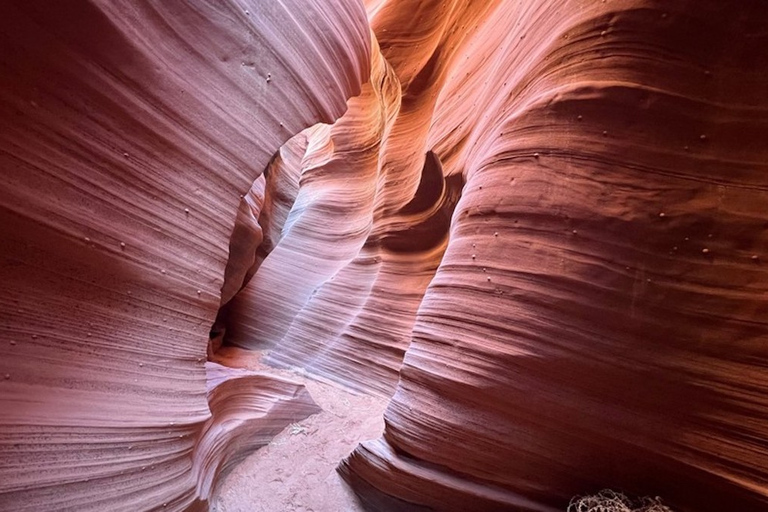 Antelope Canyon : Excursion dans le canyon de Rattlesnake