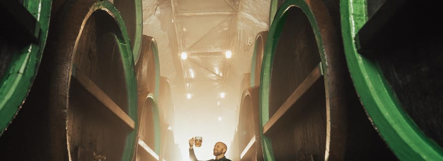 Pilsen : Visite de la brasserie Pilsner Urquell avec dégustation de bière