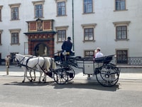 Tour de Sissi y su museo - Housity