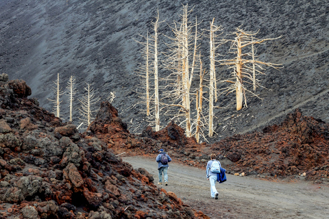 Från Catania: Etna morgon- eller solnedgångsturCatania: Morgonrundtur på Etna-berget