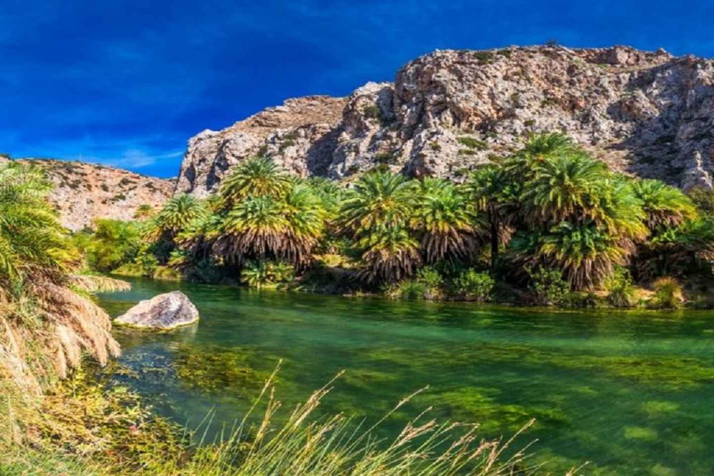 From Rethymno: Preveli Palm Beach and Kourtaliotiko Day Trip