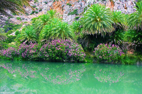 Depuis Réthymnon : Excursion d'une journée à la plage de Preveli Palm Beach-KourtaliotikoDepuis Réthymnon : Excursion d'une journée à Preveli Palm Beach