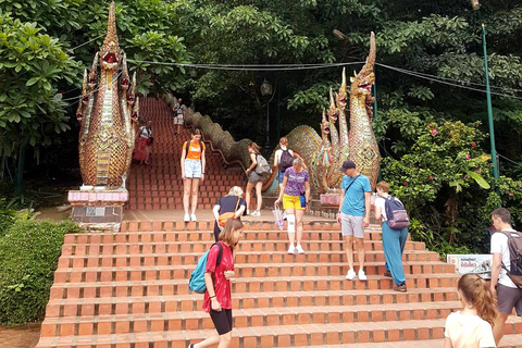 Chiang Mai: Doi Suthep, Wat Pha Lat & Sticky Waterfall TourChiang Mai: Doi Suthep-tempel en unieke kleverige waterval