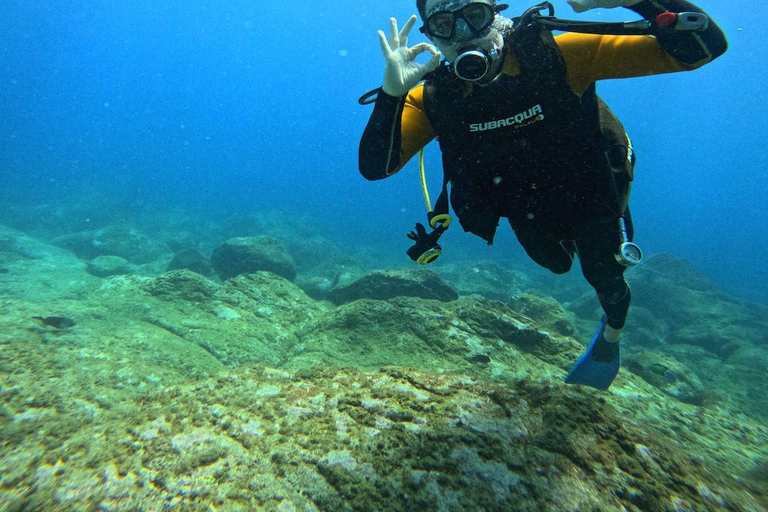 Tenerife: Mergulho para iniciantes em um local com avistamento de tartarugasTenerife: mergulho para iniciantes em um local com avistamentos de tartarugas