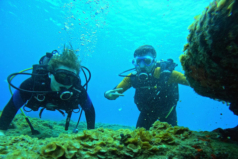 Tenerife: Mergulho para iniciantes em um local com avistamento de tartarugasTenerife: mergulho para iniciantes em um local com avistamentos de tartarugas