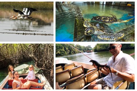 West coast Beach, River Mangroves lagoon, Wildlife boat Tour