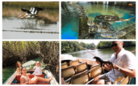 Costa Ovest Spiaggia, fiume Mangrovie laguna, Wildlife boat Tour - Hizvo