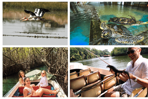 West coast Beach, River Mangroves lagoon, Wildlife boat TourMadu River Safari, Mangrove Lagoon &amp; Bentota Boat Tour