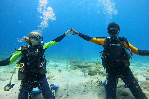 Tenerife: Prueba el buceo para principiantes en la zona de las tortugasPrueba de buceo para principiantes en la zona de las tortugas