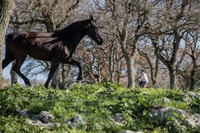 Martina Franca E-Bike Tour und Besuch einer Zucht - Hizvo