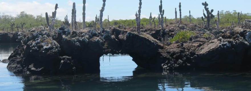 Circuit dans les îles des Galápagos de 5 jours - Santa Cruz et Isabela