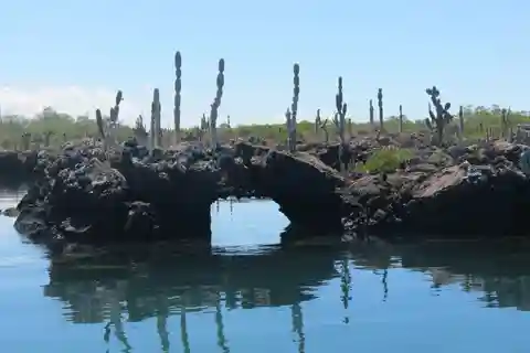 5-Day Galapagos Island Hopping Tour - Santa Cruz & Isabela