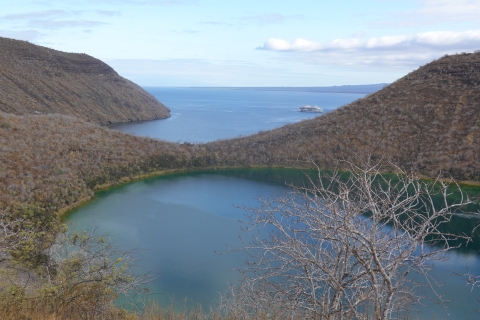 5-Day Galapagos Tour in Santa Cruz & Isabela: Snorkel-HikeStandard Accommodation