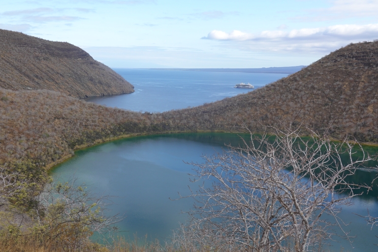 5-Day Galapagos Tour in Santa Cruz & Isabela: Snorkel-HikeTourist Accommodation