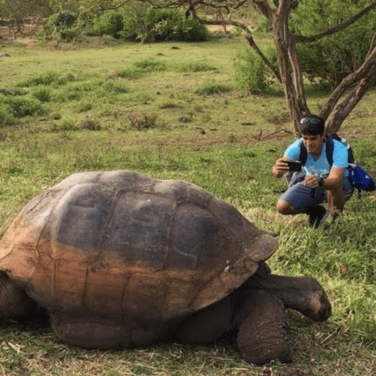 5-Day Galapagos Tour in Santa Cruz & Isabela: Snorkel-Hike | GetYourGuide