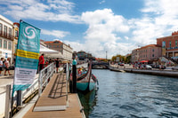 Aveiro, tour in barca guidata panoramica - Housity