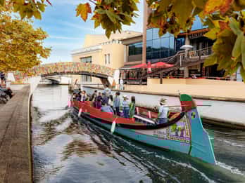 Aveiro: Scenic Guided Boat Tour