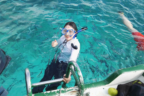 Mauritius: Dolphins watch half-day