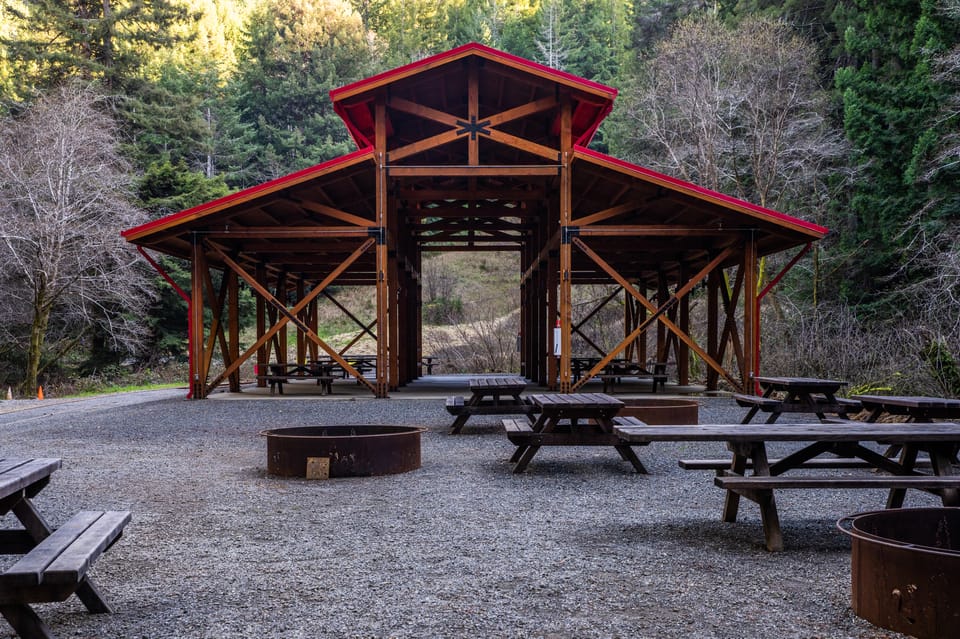 From Fort Bragg, Redwoods Train Ride and Nightclub Ticket - SuiteTrails