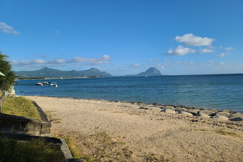 Private Dolphin Snorkeling, Halal Lunch on Island,No Alcohol