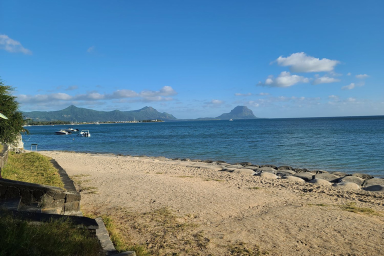 Private Dolphin Snorkeling, Halal Lunch on Island,No Alcohol