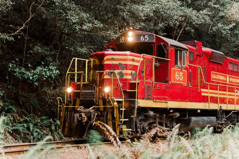 From Fort Bragg Redwoods Train Ride and Ticket GetYourGuide