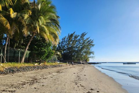 Private Dolphin Snorkeling, Halal Lunch on Island,No Alcohol