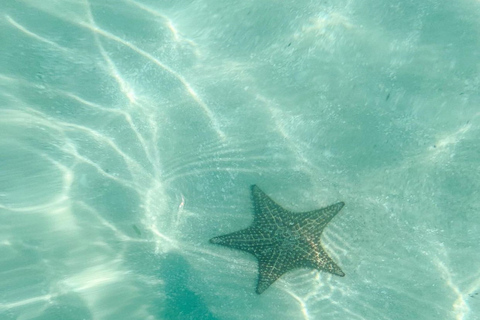 Visite de l'île de Saona en bateau à moteur et en catamaran (formule tout compris)