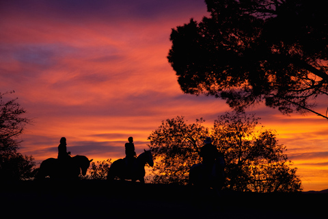 Los Angeles: Passeio noturno de 2 horas a cavalo por Hollywood