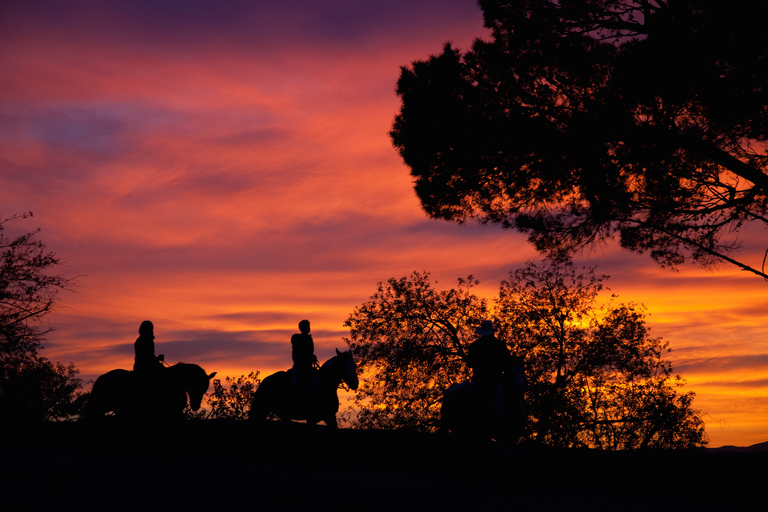 Los Angeles: Passeio noturno de 2 horas a cavalo por Hollywood