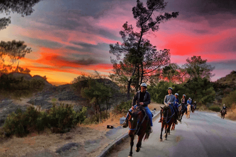 Los Angeles: Passeio noturno de 2 horas a cavalo por Hollywood