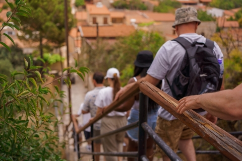 Z Pafos: jednodniowa wycieczka z przewodnikiem po górach i wioskach Troodos