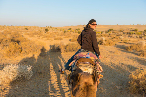 Agadir: Paseo en camello al atardecer - Río Flamingo