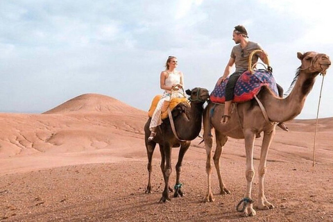 Depuis Marrakech : dîner dans le désert d'Agafay et balade en chameau au coucher du soleil