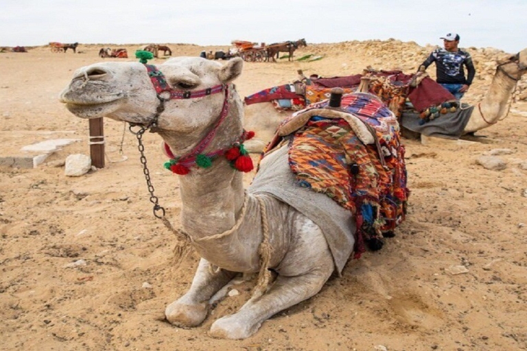 Hurghada: Excursión de un día a Luxor y Viaje en Globo y Traslado