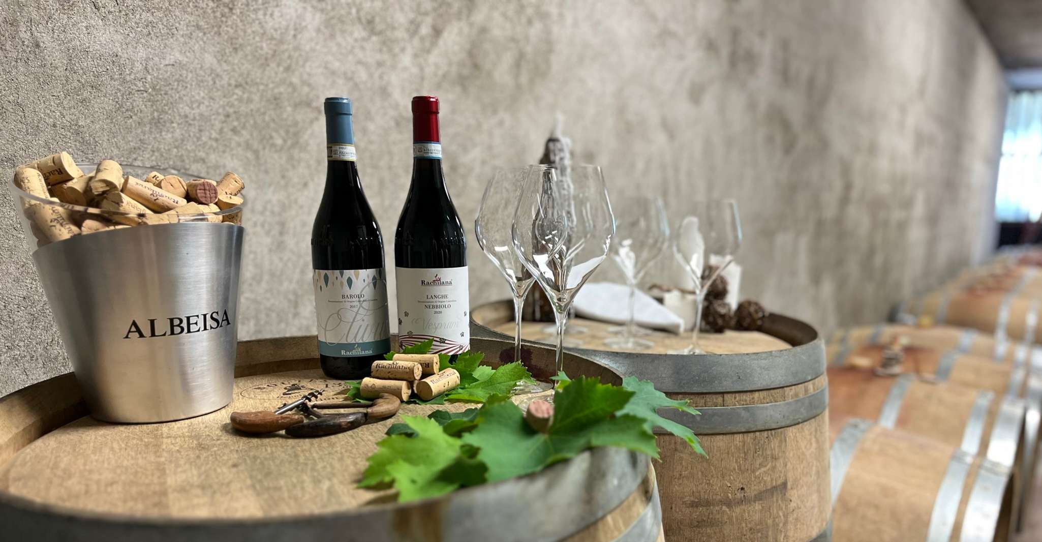 Monforte d'Alba, gira por la bodega, degustación de vinos y panorama - Housity