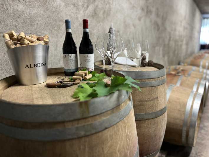 Monforte d'Alba: rondleiding door de wijnmakerij, wijnproeverij en panorama