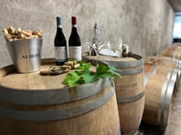 Monforte d'Alba, gira por la bodega, degustación de vinos y panorama - Housity