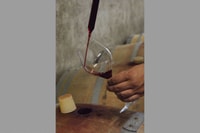 Monforte d'Alba, gira por la bodega, degustación de vinos y panorama - Housity