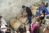Monforte d'Alba, gira por la bodega, degustación de vinos y panorama - Housity
