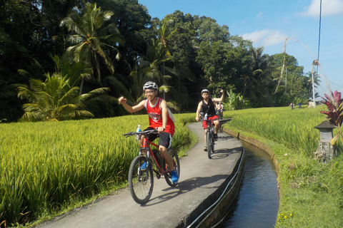 Ubud: Half-Day Tegallalang Electric Cycling Tour