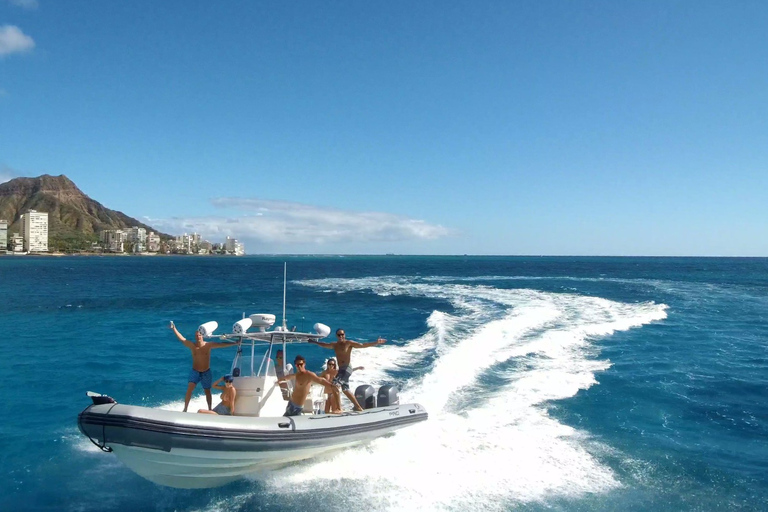 Oahu: Waikiki Private Snorkeling and Wildlife Boat Tour Waikiki Private Snorkeling and Wildlife Boat Tour